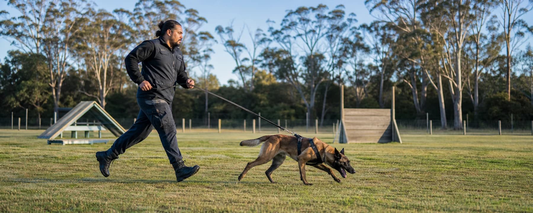 Canine Skillset training